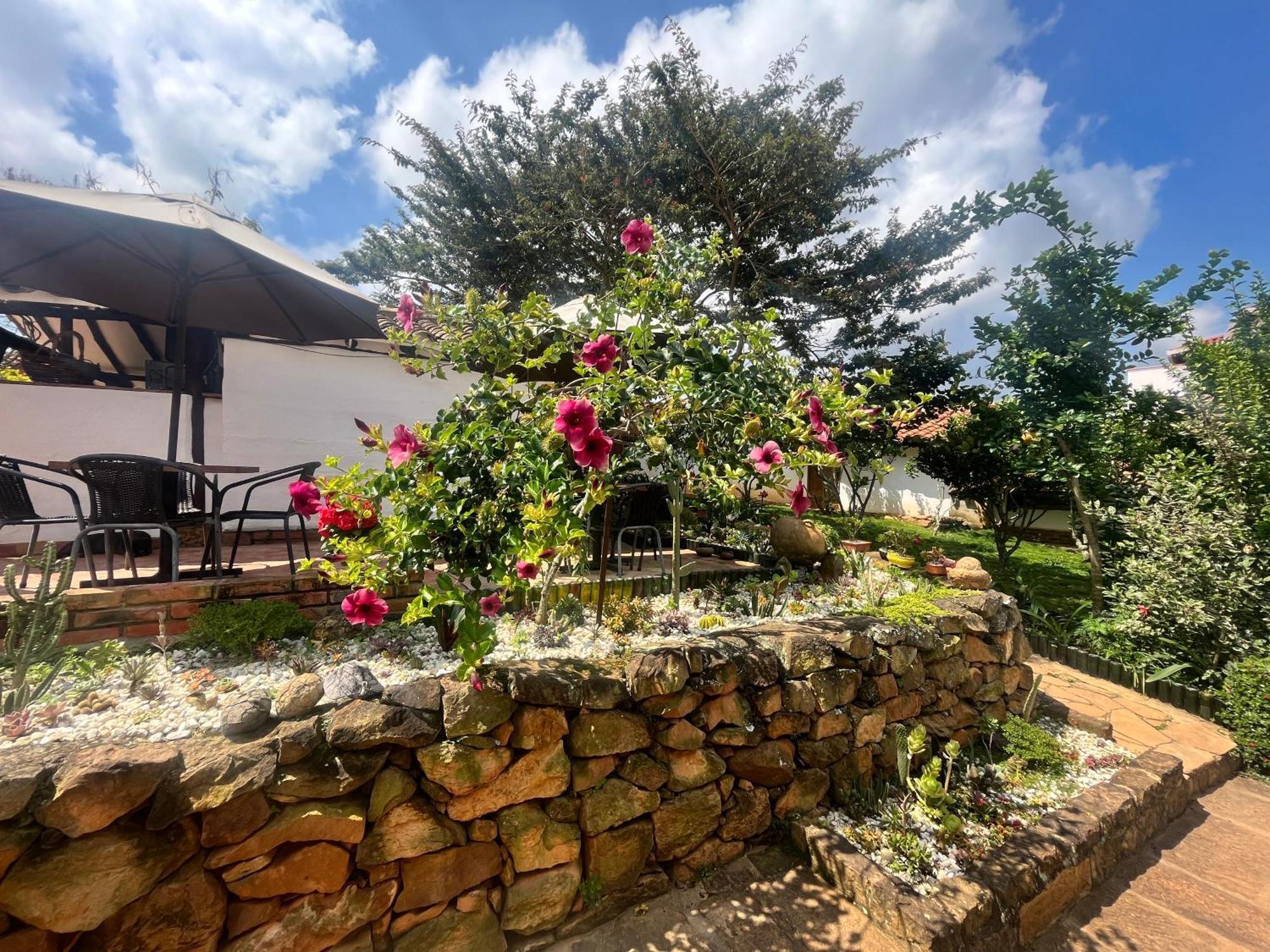 Ecohotel בריצ'ארה מראה חיצוני תמונה